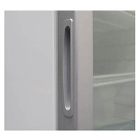 Congélateur vertical commercial compact 99L pour glaces, 3 étagères, en acier inoxydable 304, température unique, dégivrage automatique