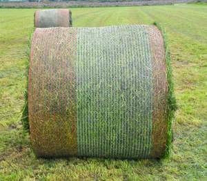 Filet agricole robuste en PEHD de qualité supérieure 1,62 m x 2134 m pour ensilage de foin, paille, céréales, tiges de maïs, légumineuses - Product Image 5