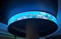 Panneau LED flexible ultra-fin, écran LED pliable, prise en charge HDR 1080P, garantie de 5 ans, taille personnalisable pour mur intérieur/extérieur
