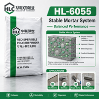 Poudre de polymère redispersable de haute qualité pour mortier de ciment, adhésif pour carrelage, EIFS, composé autonivelant, matériau de construction RDP