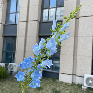 Fiori Artificiali Decorativi di Alta Qualità per la Casa, <span class=keywords><strong>Campanula</strong></span> Blu Alta in Seta per Decorazioni Domestiche e Matrimoni - Product Image 3