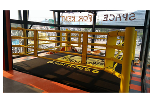FightBro EPW <strong>wwe</strong> <strong>Ring</strong> Boxing - Product Image 2