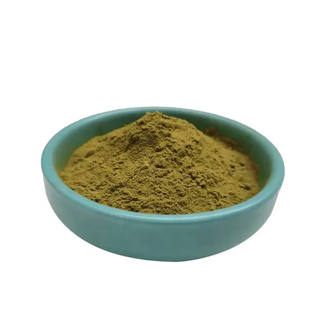 Precio a granel hidroxitirosol 10% 20% 25% extracto de hoja de olivo extracto de fruta de oliva en polvo
