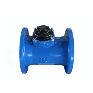 15mm 25mm removable element agriculture woltman type water meter