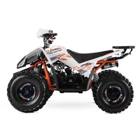 Quad Tao Motor 2024, nouveau design, transmission manuelle par chaîne, 150cc, avec homologation EPA et CE