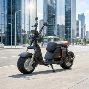 Scooter de Dos Ruedas de 1000w y 20ah con Batería de Litio y Neumáticos Anchos de Aluminio, Venta al por Mayor en Brasil, Modelo SS701 con Motor Potente de 1000w - Product Image 1