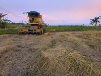 Moissonneuse-batteuse agricole GE40 sur roues, haute efficacité, pour la récolte du blé et du soja sur terres arides