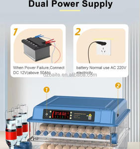 Incubatrice per Uova a Doppia Alimentazione in Nuovo Materiale PP, 300 Pezzi, per Uova <span class=keywords><strong>di</strong></span> Uccelli, Anatre, Polli, Tacchini, Emu, Rettili, con Rotazione Automatica e 98% <span class=keywords><strong>di</strong></span> Schiusa - Product Image 3