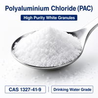 Coagulant chimique PAC (chlorure de polyaluminium) pour usine d'eau potable
