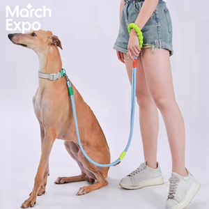 Professional Pet Training Walking Solution Premium Bungee Nylon <strong>Dog</strong> <strong>Leash</strong> Durable Nylon Material for <strong>Long</strong> Term Use - Product Image 2