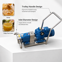 Pompe de transfert à cavité progressive en acier inoxydable de qualité alimentaire pour miel et liquides très visqueux, pompe hélicoïdale à vis simple avec trémie