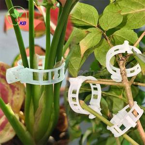 Clips Pour <span class=keywords><strong>Tomates</strong></span> De jardin Clips Tomate Pour La Culture De <span class=keywords><strong>Tomates</strong></span> Sous Serre - Product Image 1