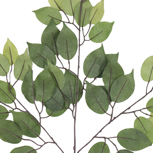 Mới Đến Khuyến Mãi Phong Cách Đơn Giản Thân Thiện Với Môi Nhựa Trang Trí Nhân Tạo Cây Lá Với Chi W55cm * H60cm - Product Image 4