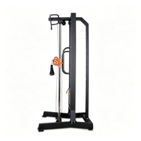 Équipement de musculation à domicile - Machine à flys unilatérale en acier, traction haute intensité, rameur multifonctionnel, capacité de charge 500 kg, polyvalent et complet