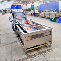 Volledig automatische bubbelwasmachine |   Groente- en fruitreinigingslijn voor voedselfabrieken