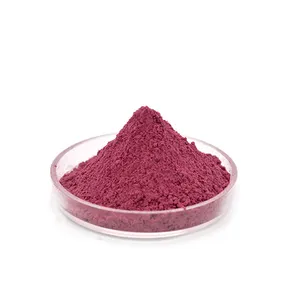 Manufacturer supply bulk Disperse Red 60 powder Disperse Red 60