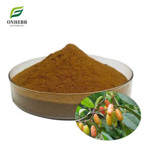 Estratto di Foglie di Elaeagnus Pungens Naturale al 99%, Polvere di Estratto di Elaeagnus Pungens, Fornitura Diretta dalla Fabbrica - Product Image 1