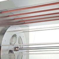Four à poulet commercial haute capacité, électrique, en acier inoxydable, avec rôtissoire rotative pour restaurant et hôtel
