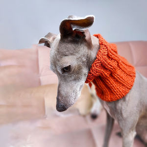 Qiqu Pet Supplies – Nouveau cache-cou et bonnet pour chien, <span class=keywords><strong>tricoté</strong></span> à la <span class=keywords><strong>main</strong></span>, design personnalisé, pour lévrier italien et whippet - Product Image 2