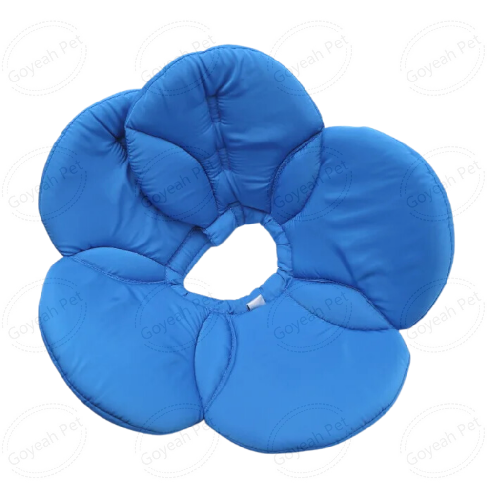 Fleur bleue