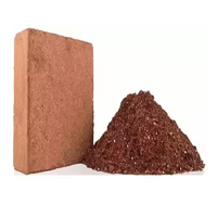 Vente en gros d'usine Bloc de tourbe de coco biologique de haute qualité 650g 1kg 5kg Brique anti-poussière 100% noix de coco biologique pour jardin à bas prix