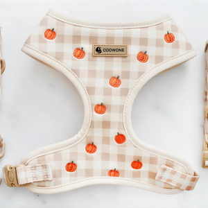 Özel Logo Köpek Tasması Seti Desenli Nakış Kişiselleştirilmiş Köpek Tasmaları Tasma Kayış Yaka Evcil Hayvan Tasması Üreticisi - Product Image 2