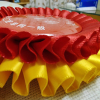 Lencana Pita Penghargaan Rosette, Pin Medali Penghargaan Anak untuk Kompetisi Kelas, Dekorasi Pesta Ulang Tahun