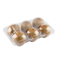 Caja de Embalaje Ecológica de PET de Alta Transparencia con Tapa Transparente y Cierre de Hebilla, 6 Piezas, 80*60mm, para Mini Kiwi, Repostería, Postres y Pasteles Pequeños