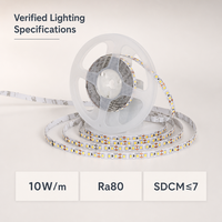 Bande LED en gros 12V 2835 60 LED/m 8mm 6500K Blanc Froid Ra80 IP20 5m par rouleau Télécommande Dimmable Vente Directe Usine