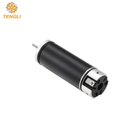 Moteur BLDC sans noyau haute vitesse Tenli 2060, 20 mm, 36 V, 40 000 tr/min, 80 W, triphasé sans capteur, pour équipement laser et optique de précision