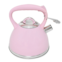 Bouilloire à eau et à thé classique en acier inoxydable, écologique, avec couvercle, pour le camping