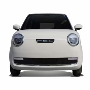 Véhicule Électrique à Quatre Roues (EV) Neuf pour l'Exportation, Conduite à Droite et à Gauche, Haute Vitesse, Énergie Nouvelle, FSL LD1S, Autonomie 101-200km - Product Image 1