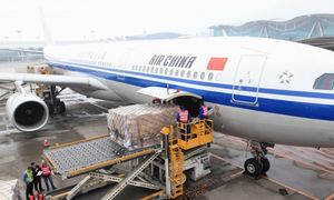 Самый дешевый сладкий Protrading превосходный <span class=keywords><strong>Karachi</strong></span> популярный экспедитор воздух в китайские грузовые компании - Product Image 6