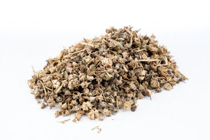 Extracto Puro de Gokhru Tribulus en Polvo, Elaborado para una Fácil Incorporación en Bebidas, Formulaciones Herbales y Polvos Nutricionales - Product Image 2