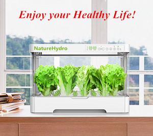 ระบบสวนอัจฉริยะ ไฮโดรโปนิกส์ ตู้ปลูกในร่ม กล่องไฮโดรโปนิกส์ตั้งโต๊ะ พร้อมไฟ - Product Image 6