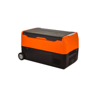 Mini-réfrigérateur portable en plastique pour voiture, glacière 12V 24V à compresseur, congélateur de voyage