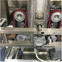 Machine verticale automatique de remplissage de snacks, sac d'emballage pour graines d'arachide et de tournesol