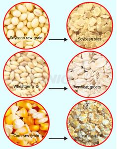 Grains à haut rendement de machine de presse de maïs <span class=keywords><strong>d</strong></span>'opération facile de rendement élevé aplatissant la machine de flocons - Product Image 6