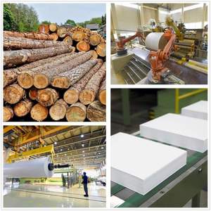 Papel de Calco Transparente para Impresión, Hojas de Dibujo Transparentes A4 de 65g-300g, Papel Vitela - Product Image 6