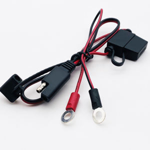 Câble d'alimentation de faisceau de câbles de charge de batterie haute tension d'usine avec porte-fusible et pince crocodile pour <span class=keywords><strong>voiture</strong></span> électrique - Product Image 2