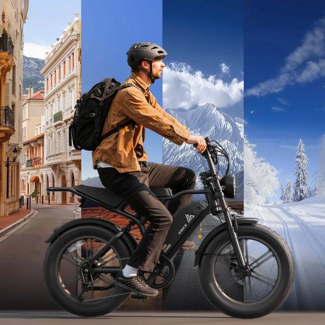 EU USA Warehouse Fat Electric Bikes 20 Inch 250W 48V 15A Hydraulic Brake Electric Fat Bike