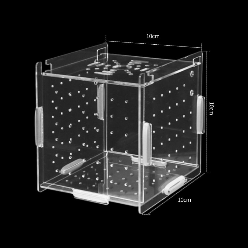 Acrílico Incubator10 * 10