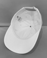 Gorras de Béisbol 100% Algodón, Bordado 3D, Unisex, Colores y Tallas Personalizables, Precio Bajo, Hechas a Medida en Vietnam, para Deporte, Uso Diario
