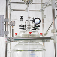Reactor de Vidrio de Doble Capa de Borosilicato Alto con Condensador de Vidrio para Síntesis API y Operaciones de Reflujo