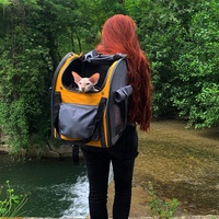 Sac à dos d'extérieur pour animaux de compagnie, adapté aux voyages en voiture, randonnée, petit chien, chat, sac de transport pour animaux de compagnie