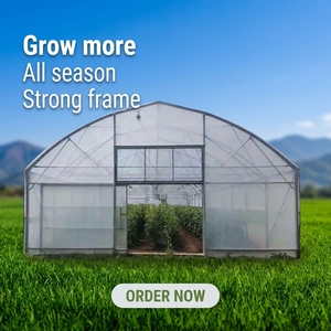 <span class=keywords><strong>Serre</strong></span> économique Tunnel en <span class=keywords><strong>plastique</strong></span> pour <span class=keywords><strong>serre</strong></span> végétale <span class=keywords><strong>Serre</strong></span> économique Tunnel - Product Image 1