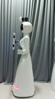2026 MiCity Robot Photo Booth Lampu LED Strip Rotasi Otomatis Remote Control Photo Booth Robot Fotografi Dengan Flight Case