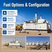 Centrale électrique au gaz naturel haute efficacité de 2000 kW pour champ pétrolier, génératrice à turbine à gaz conteneurisée pour gaz associé et biogaz