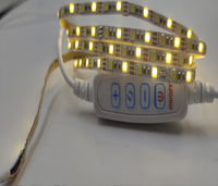 Bande LED flexible 1M/2M/3M DC5V USB SMD2835 120LEDs/m CCT Blanc chaud + Blanc double avec contrôleur
