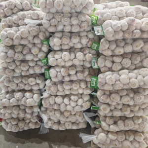 <span class=keywords><strong>Ajo</strong></span> Blanco Fresco Cosecha 2026, 4.5cm, Alta Calidad, Suministro a Granel, Directo <span class=keywords><strong>de</strong></span> Granja, Envío a Congo Brazzaville - Product Image 5